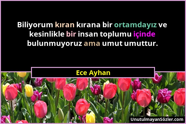 Ece Ayhan - Biliyorum kıran kırana bir ortamdayız ve kesinlikle bir insan toplumu içinde bulunmuyoruz ama umut umuttur....