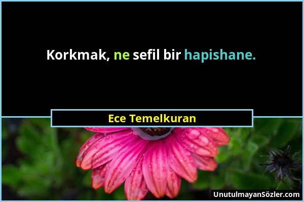 Ece Temelkuran - Korkmak, ne sefil bir hapishane....