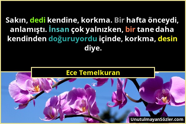 Ece Temelkuran - Sakın, dedi kendine, korkma. Bir hafta önceydi, anlamıştı. İnsan çok yalnızken, bir tane daha kendinden doğuruyordu içinde, korkma, d...