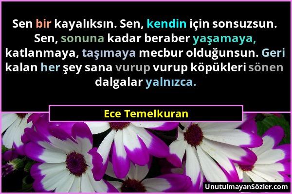 Ece Temelkuran - Sen bir kayalıksın. Sen, kendin için sonsuzsun. Sen, sonuna kadar beraber yaşamaya, katlanmaya, taşımaya mecbur olduğunsun. Geri kala...