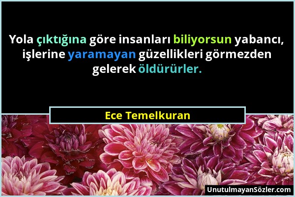 Ece Temelkuran - Yola çıktığına göre insanları biliyorsun yabancı, işlerine yaramayan güzellikleri görmezden gelerek öldürürler....