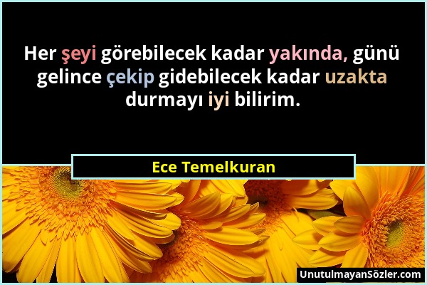 Ece Temelkuran - Her şeyi görebilecek kadar yakında, günü gelince çekip gidebilecek kadar uzakta durmayı iyi bilirim....