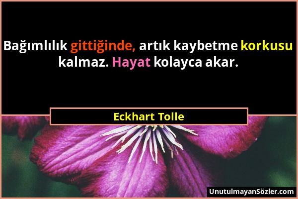 Eckhart Tolle - Bağımlılık gittiğinde, artık kaybetme korkusu kalmaz. Hayat kolayca akar....