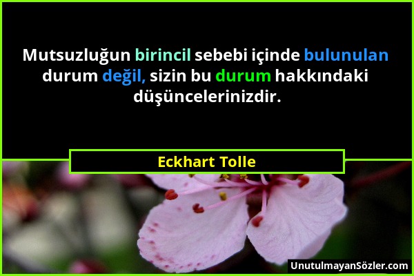 Eckhart Tolle - Mutsuzluğun birincil sebebi içinde bulunulan durum değil, sizin bu durum hakkındaki düşüncelerinizdir....