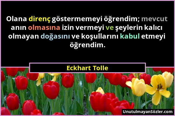 Eckhart Tolle - Olana direnç göstermemeyi öğrendim; mevcut anın olmasına izin vermeyi ve şeylerin kalıcı olmayan doğasını ve koşullarını kabul etmeyi...