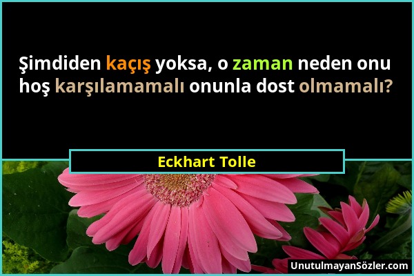 Eckhart Tolle - Şimdiden kaçış yoksa, o zaman neden onu hoş karşılamamalı onunla dost olmamalı?...