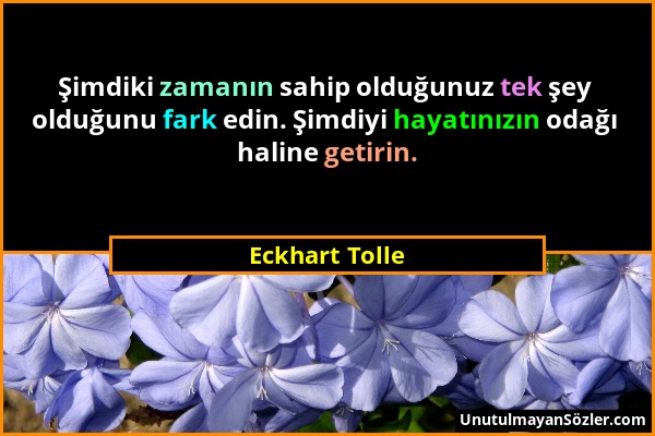 Eckhart Tolle - Şimdiki zamanın sahip olduğunuz tek şey olduğunu fark edin. Şimdiyi hayatınızın odağı haline getirin....