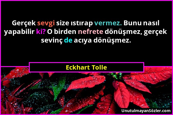 Eckhart Tolle - Gerçek sevgi size ıstırap vermez. Bunu nasıl yapabilir ki? O birden nefrete dönüşmez, gerçek sevinç de acıya dönüşmez....