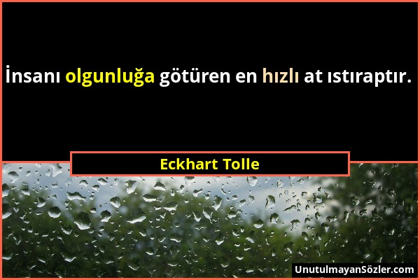 Eckhart Tolle - İnsanı olgunluğa götüren en hızlı at ıstıraptır....