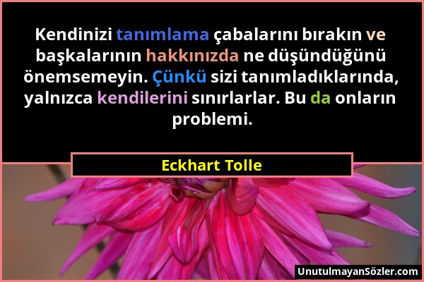 Eckhart Tolle - Kendinizi tanımlama çabalarını bırakın ve başkalarının hakkınızda ne düşündüğünü önemsemeyin. Çünkü sizi tanımladıklarında, yalnızca k...