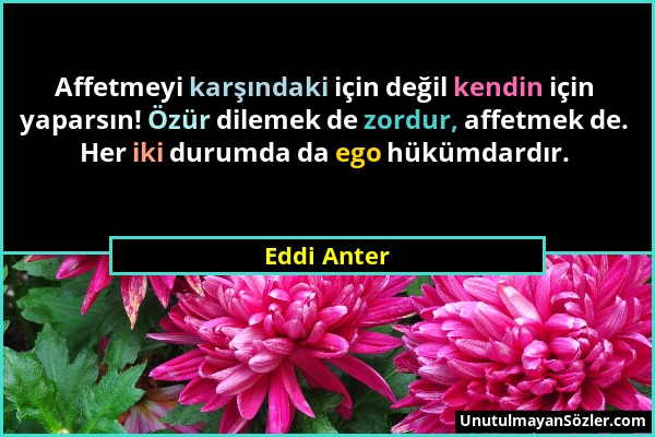 Eddi Anter - Affetmeyi karşındaki için değil kendin için yaparsın! Özür dilemek de zordur, affetmek de. Her iki durumda da ego hükümdardır....