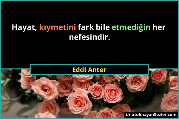 Eddi Anter - Hayat, kıymetini fark bile etmediğin her nefesindir....