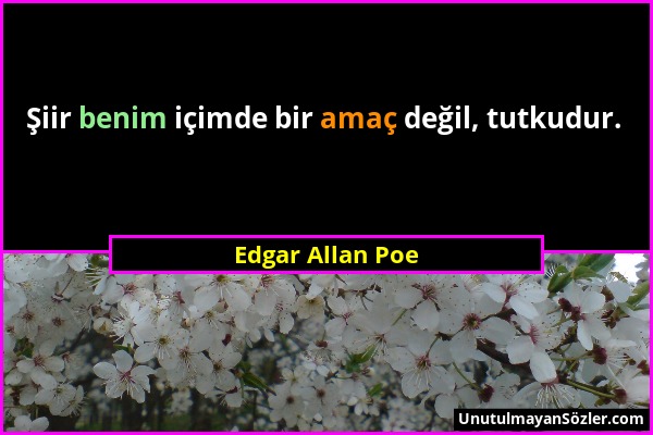 Edgar Allan Poe - Şiir benim içimde bir amaç değil, tutkudur....