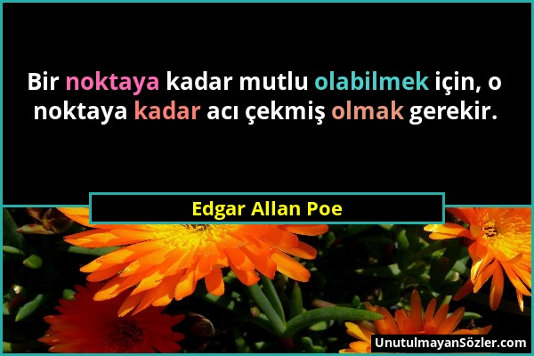 Edgar Allan Poe - Bir noktaya kadar mutlu olabilmek için, o noktaya kadar acı çekmiş olmak gerekir....