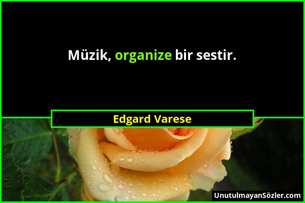 Edgard Varese - Müzik, organize bir sestir....