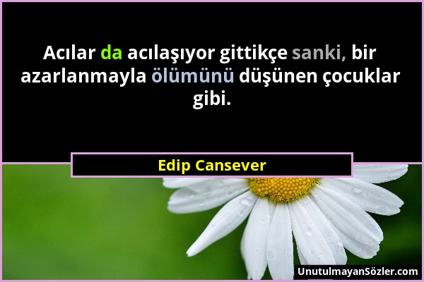 Edip Cansever - Acılar da acılaşıyor gittikçe sanki, bir azarlanmayla ölümünü düşünen çocuklar gibi....