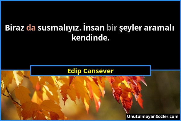 Edip Cansever - Biraz da susmalıyız. İnsan bir şeyler aramalı kendinde....