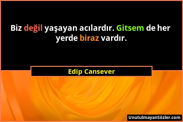 Edip Cansever - Biz değil yaşayan acılardır. Gitsem de her yerde biraz vardır....