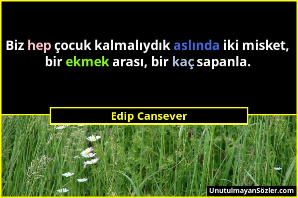 Edip Cansever - Biz hep çocuk kalmalıydık aslında iki misket, bir ekmek arası, bir kaç sapanla....