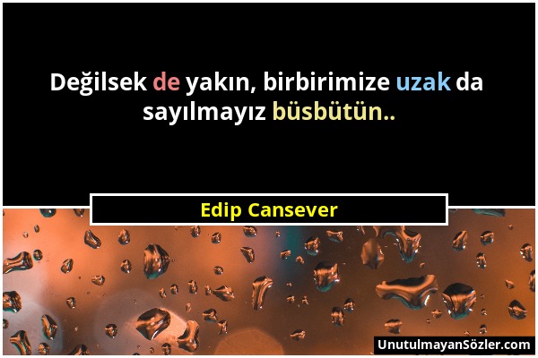 Edip Cansever - Değilsek de yakın, birbirimize uzak da sayılmayız büsbütün.....