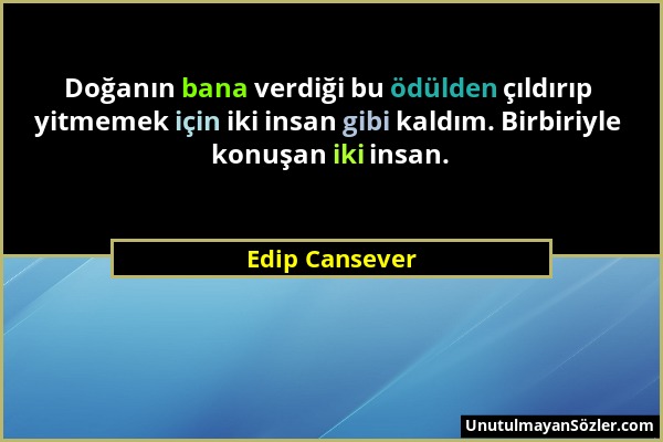 Edip Cansever - Doğanın bana verdiği bu ödülden çıldırıp yitmemek için iki insan gibi kaldım. Birbiriyle konuşan iki insan....