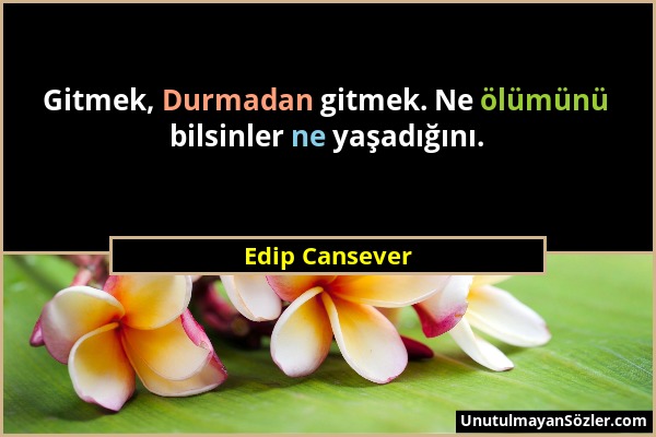 Edip Cansever - Gitmek, Durmadan gitmek. Ne ölümünü bilsinler ne yaşadığını....