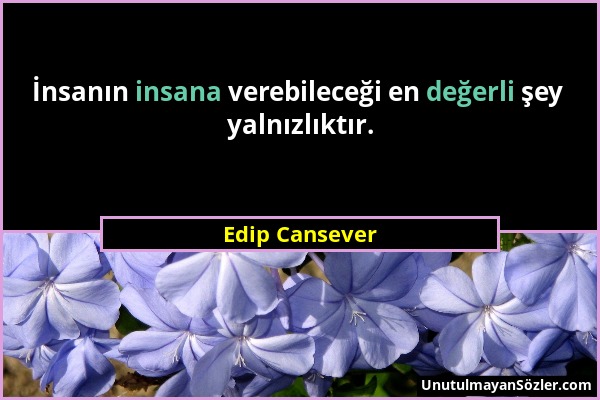 Edip Cansever - İnsanın insana verebileceği en değerli şey yalnızlıktır....