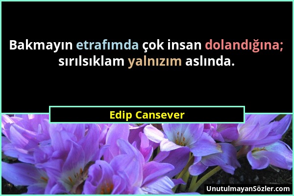 Edip Cansever - Bakmayın etrafımda çok insan dolandığına; sırılsıklam yalnızım aslında....