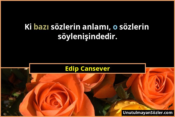 Edip Cansever - Ki bazı sözlerin anlamı, o sözlerin söylenişindedir....