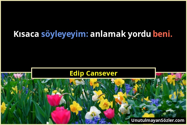 Edip Cansever - Kısaca söyleyeyim: anlamak yordu beni....