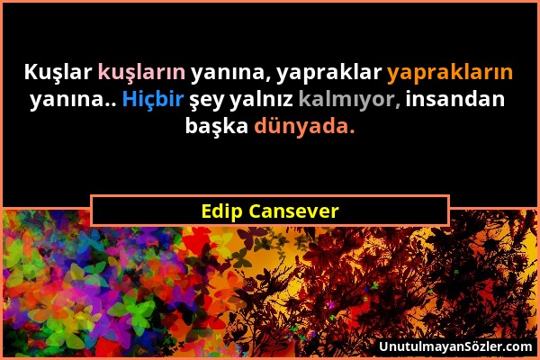 Edip Cansever - Kuşlar kuşların yanına, yapraklar yaprakların yanına.. Hiçbir şey yalnız kalmıyor, insandan başka dünyada....