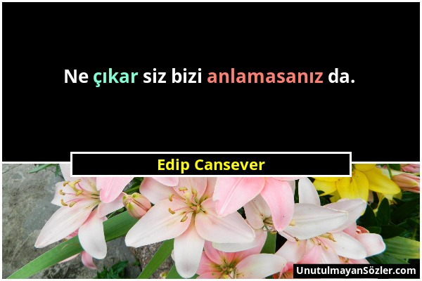 Edip Cansever - Ne çıkar siz bizi anlamasanız da....