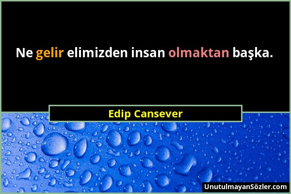 Edip Cansever - Ne gelir elimizden insan olmaktan başka....