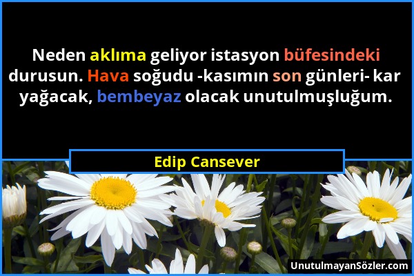 Edip Cansever - Neden aklıma geliyor istasyon büfesindeki durusun. Hava soğudu -kasımın son günleri- kar yağacak, bembeyaz olacak unutulmuşluğum....