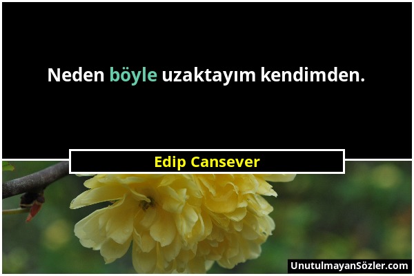 Edip Cansever - Neden böyle uzaktayım kendimden....