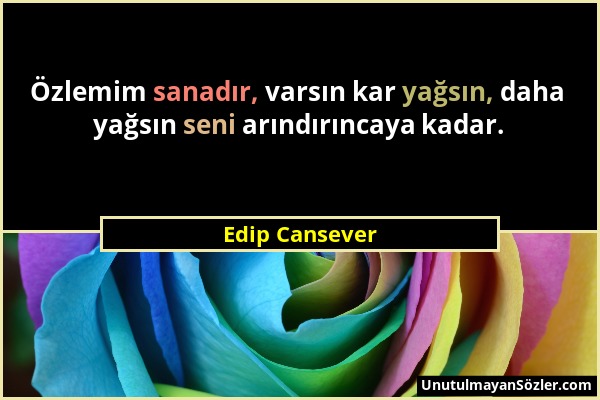 Edip Cansever - Özlemim sanadır, varsın kar yağsın, daha yağsın seni arındırıncaya kadar....