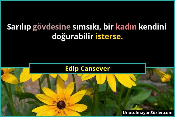 Edip Cansever - Sarılıp gövdesine sımsıkı, bir kadın kendini doğurabilir isterse....