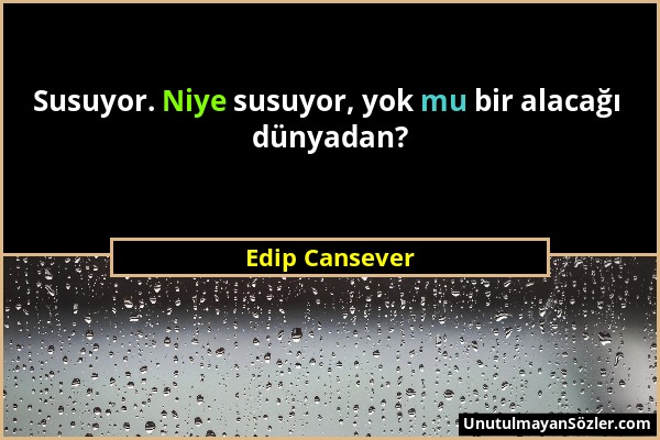 Edip Cansever - Susuyor. Niye susuyor, yok mu bir alacağı dünyadan?...