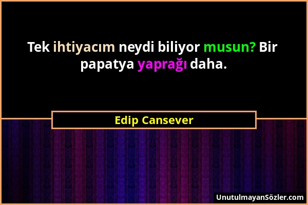 Edip Cansever - Tek ihtiyacım neydi biliyor musun? Bir papatya yaprağı daha....