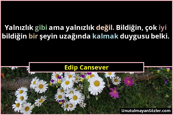 Edip Cansever - Yalnızlık gibi ama yalnızlık değil. Bildiğin, çok iyi bildiğin bir şeyin uzağında kalmak duygusu belki....