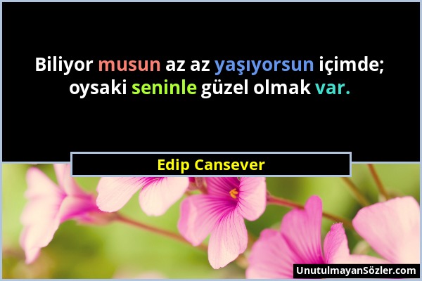 Edip Cansever - Biliyor musun az az yaşıyorsun içimde; oysaki seninle güzel olmak var....