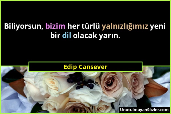 Edip Cansever - Biliyorsun, bizim her türlü yalnızlığımız yeni bir dil olacak yarın....