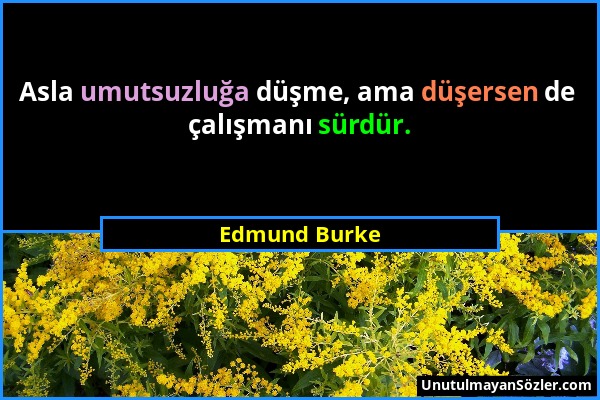 Edmund Burke - Asla umutsuzluğa düşme, ama düşersen de çalışmanı sürdür....