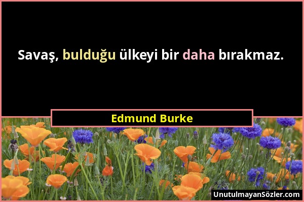 Edmund Burke - Savaş, bulduğu ülkeyi bir daha bırakmaz....