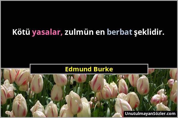 Edmund Burke - Kötü yasalar, zulmün en berbat şeklidir....