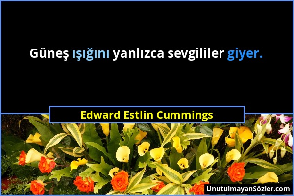 Edward Estlin Cummings - Güneş ışığını yanlızca sevgililer giyer....