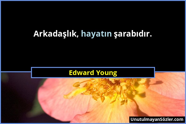 Edward Young - Arkadaşlık, hayatın şarabıdır....
