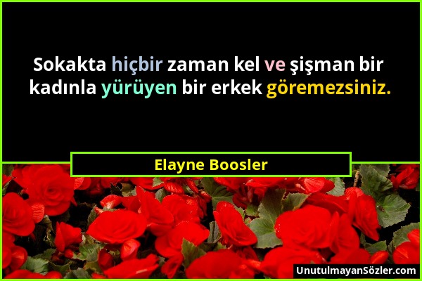 Elayne Boosler - Sokakta hiçbir zaman kel ve şişman bir kadınla yürüyen bir erkek göremezsiniz....