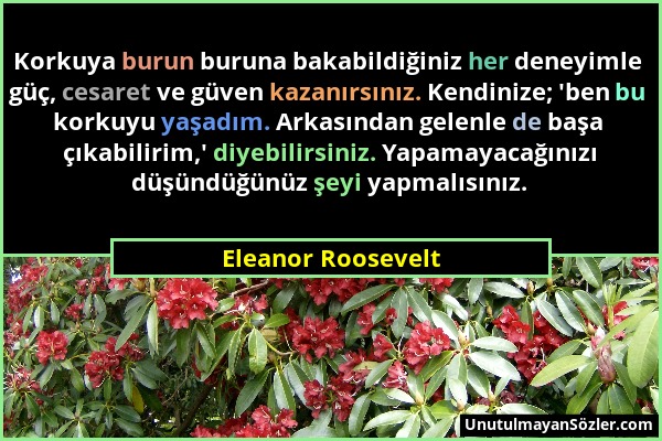 Eleanor Roosevelt - Korkuya burun buruna bakabildiğiniz her deneyimle güç, cesaret ve güven kazanırsınız. Kendinize; 'ben bu korkuyu yaşadım. Arkasınd...