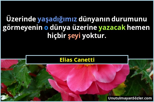 Elias Canetti - Üzerinde yaşadığımız dünyanın durumunu görmeyenin o dünya üzerine yazacak hemen hiçbir şeyi yoktur....